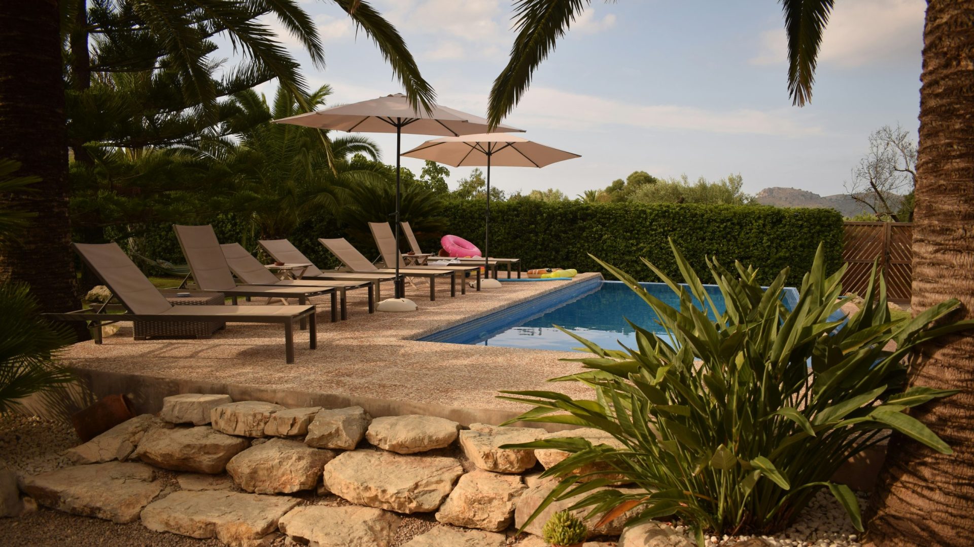 Resort-style pool with palms in Mallorca
