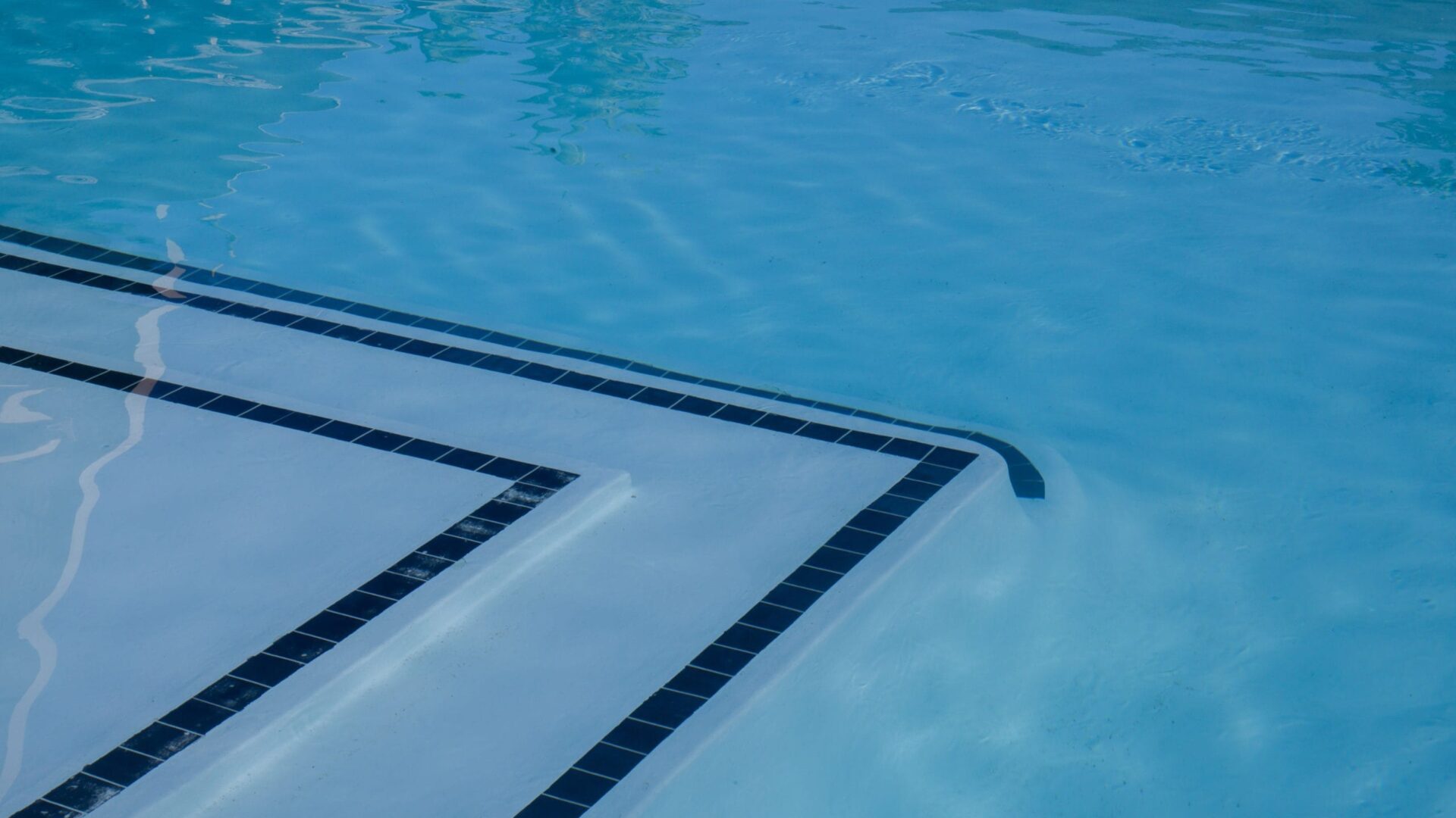 Poolside garden with a clear blue swimming pool